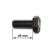 БОЛТ М10Х25, 311.12219 - 31112219