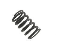 ПРУЖИНА КЛАПАН KOHLER SV470-SV620 - 20 089 03-S