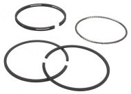 СЕГМЕНТИ К-Т STD D68.33MM B&S 493261 - 36-026