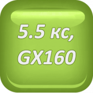 СЕГМЕНТИ HONDA GX160 