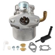 КАРБУРАТОР B&S 798653 - 5208225